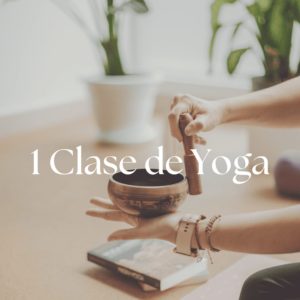 1 clase de yoga